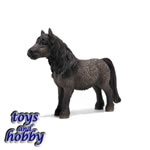 13662 - Shetland Stallion