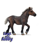 13665 - Black Forest Yearling