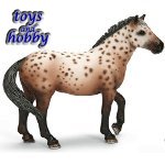 13689 - Knabstrupper Stallion
