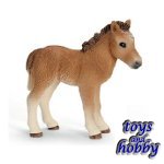 13691 - Dartmoor Pony Foal