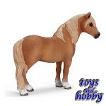 13692 - Dartmoor Pony Stallion