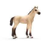 13702 - Akhal-Teke foal