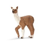 13705 - Alpaca foal