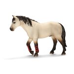 13706 - Trained horse