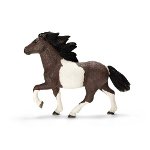 13707 - Icelandic Pony stallion