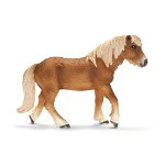 13708 - Icelandic Pony mare