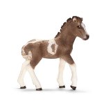13709 - Icelandic Pony foal