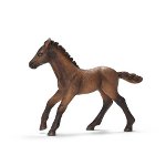 13712 - Carmargue foal