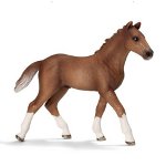 13730 - Hanoverian foal