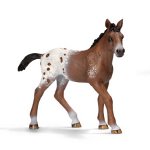 13733 - Appaloosa foal