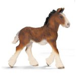 13736 - Shire foal