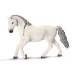 13737 - Lipizzanner mare