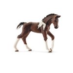 13758 - Trakehner foal
