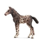 13760 - Knabstrupper foal