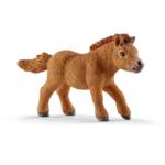 13777 - Mini Shetty foal 