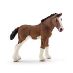 13810 - Clydesdale foal
