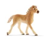 13814 - Haflinger Foal