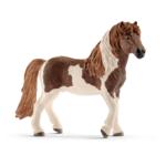 13815 - Icelandic Pony stallion