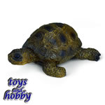 14404 - Tortoise