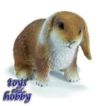 14415 - Dwarf Lop
