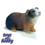 14417 - Guinea Pig