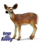 14254 - White-tailed Doe