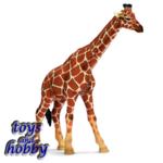 14320 - Giraffe female