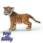 14371 - Tiger Cub, standing