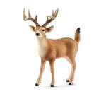 14709 - White-tailed buck