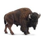 14714 - American bison