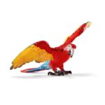 14737 - Macaw