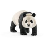 14772 - Giant Panda Male