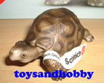 14304 - TURTLE