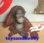 14307 - ORANG-UTANG YOUNG