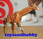 14321 - GIRAFFE CALF