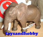 14342 - AFRICAN ELEPHANT FEMALE