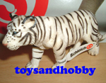 14352 - WHITE TIGRESS