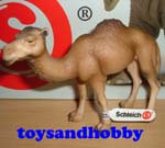 14355 - DROMEDARY MARE