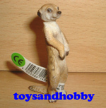 14368 - MEERKAT STANDING