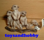 14388 - MEERKAT PUPS