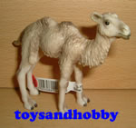 14602 - CAMEL FOAL